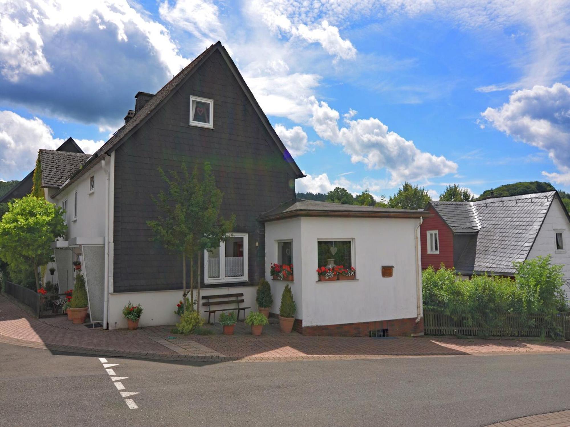Apartment Vibrant In Willingen With Private Terrace Willingen (Upland)