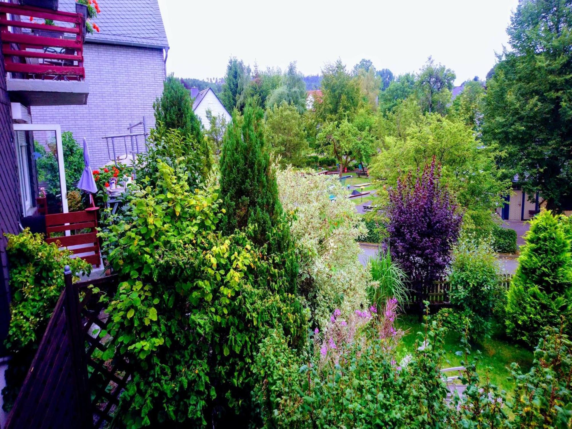 Vibrant In Willingen With Private Terrace Willingen (Upland)