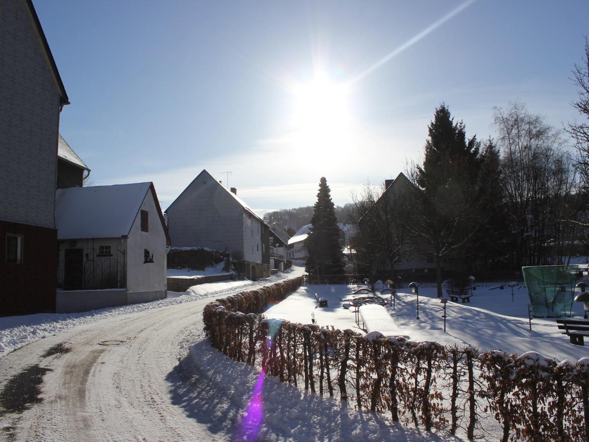 Apartment Vibrant In Willingen With Private Terrace
