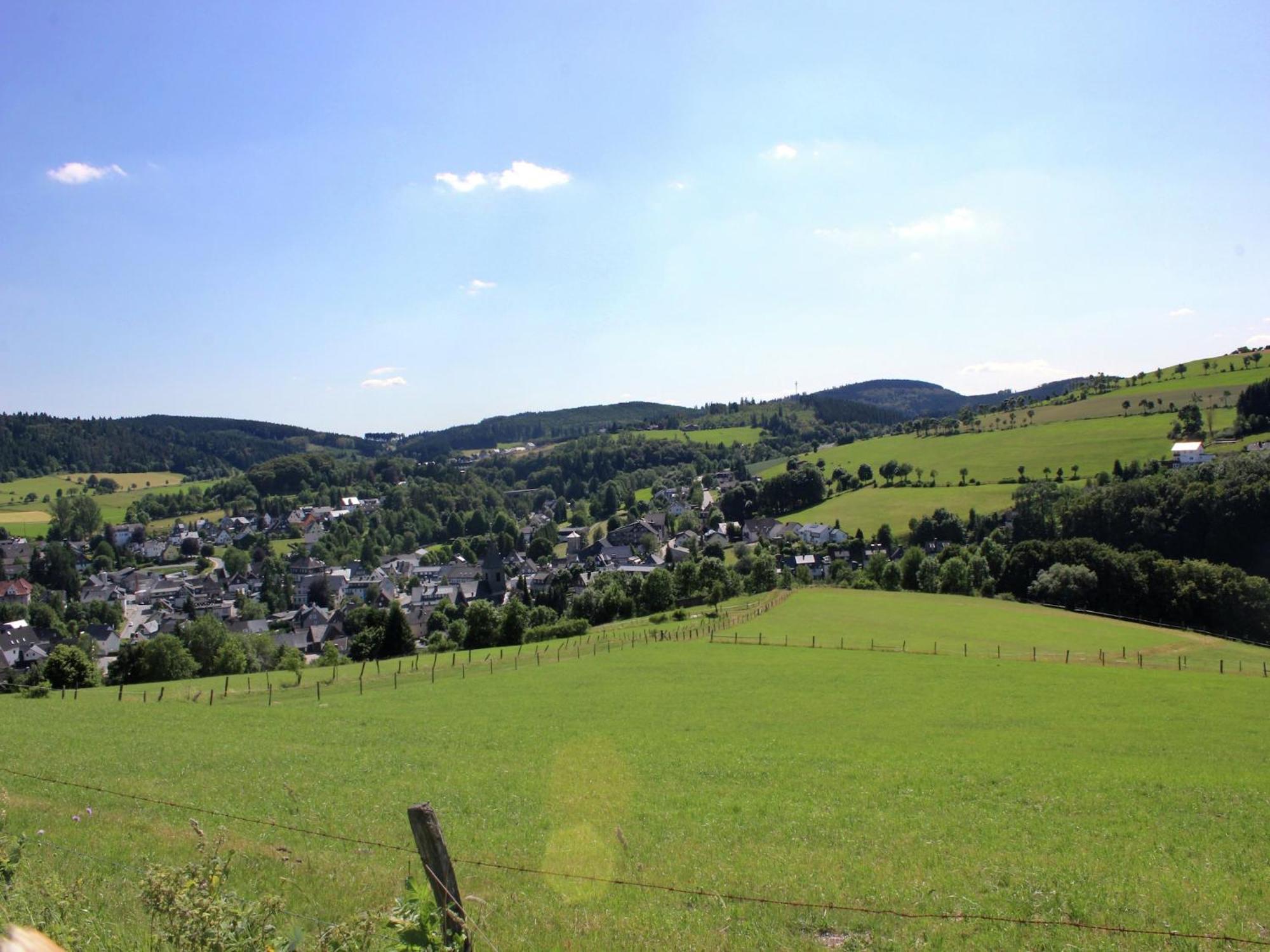 Vibrant In Willingen With Private Terrace Apartment Willingen (Upland)