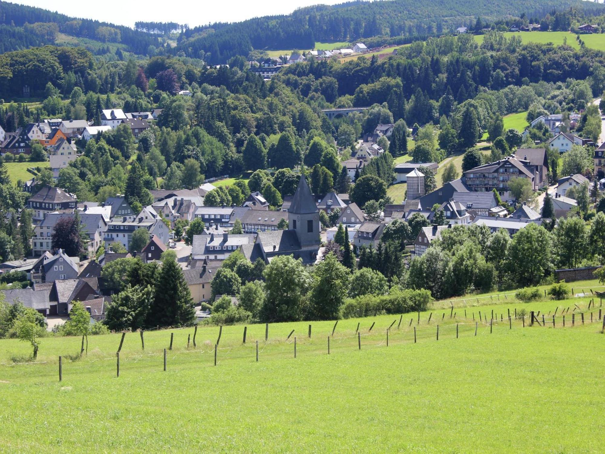 Vibrant In Willingen With Private Terrace Apartment *