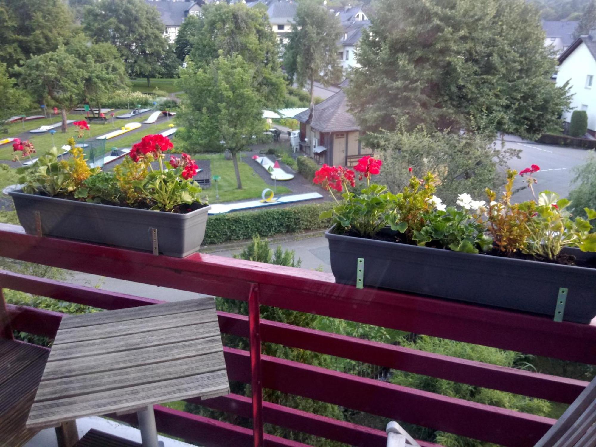 Vibrant In Willingen With Private Terrace Apartment