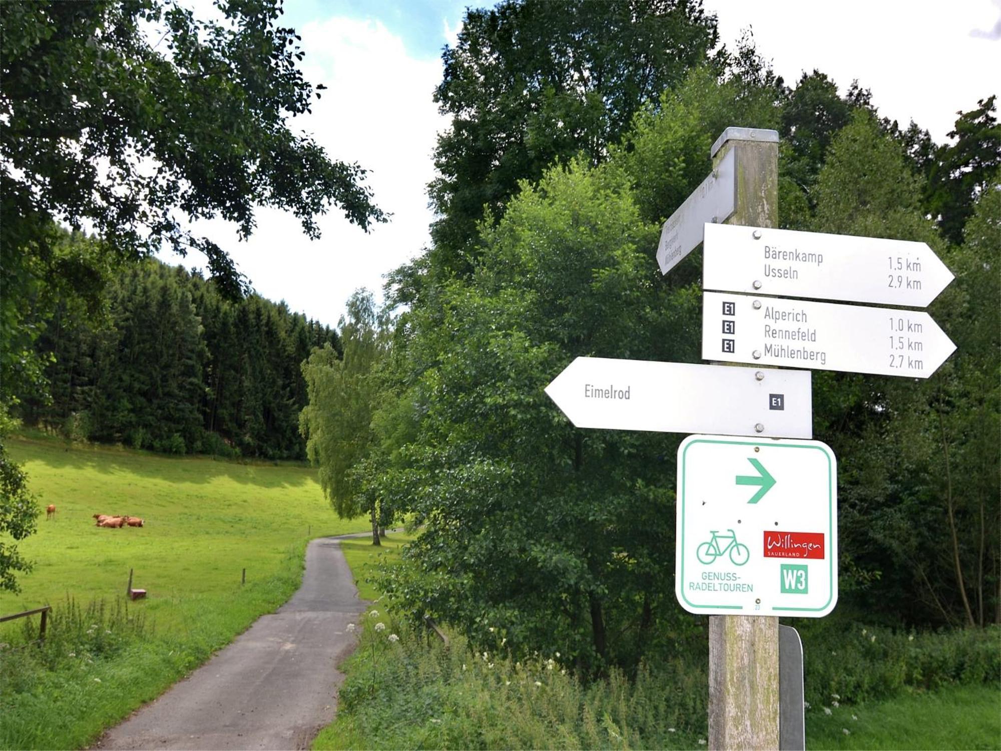 Vibrant In Willingen With Private Terrace *